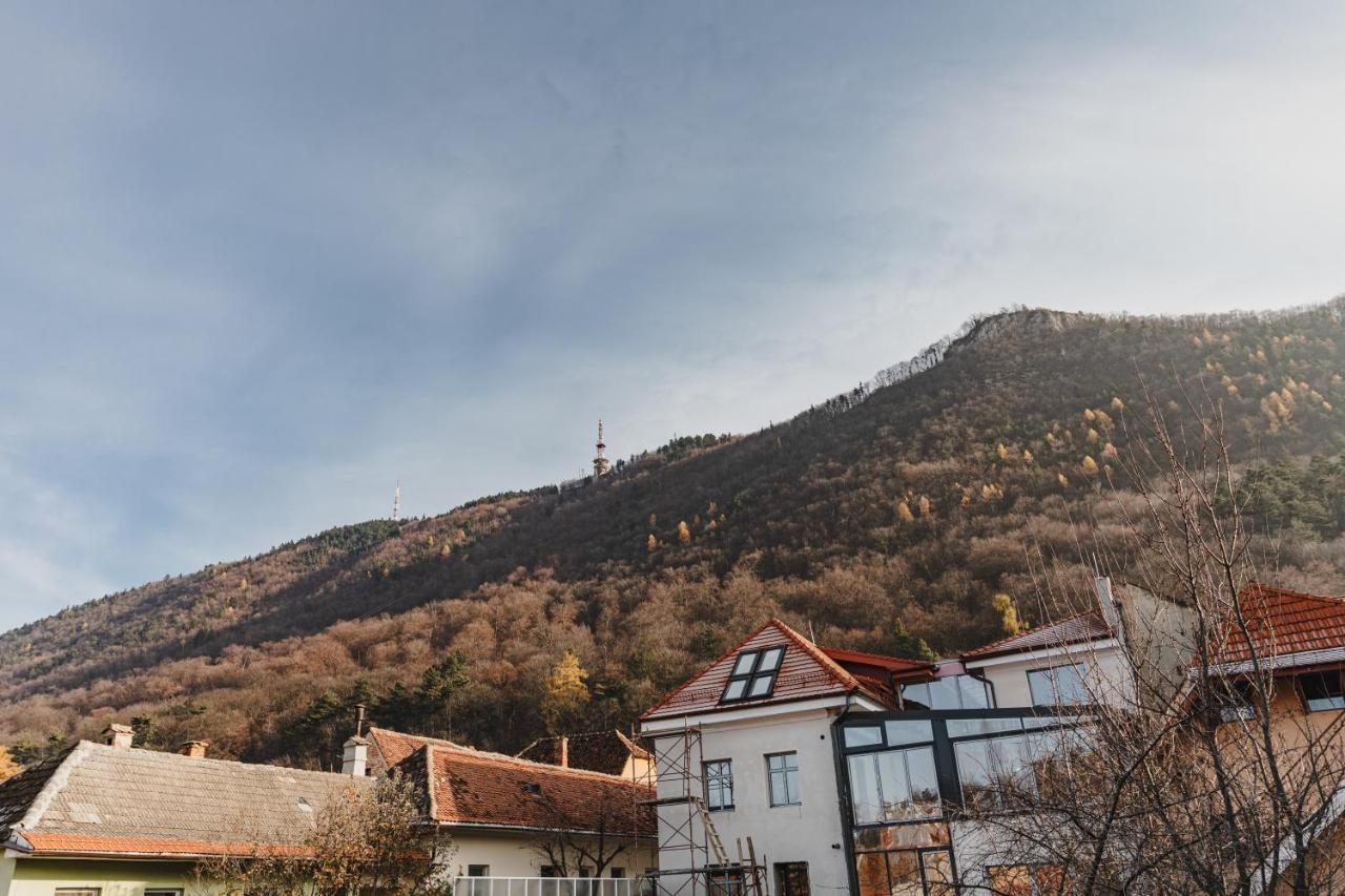 Albert Residence With Complimentary Parking Брашов Экстерьер фото